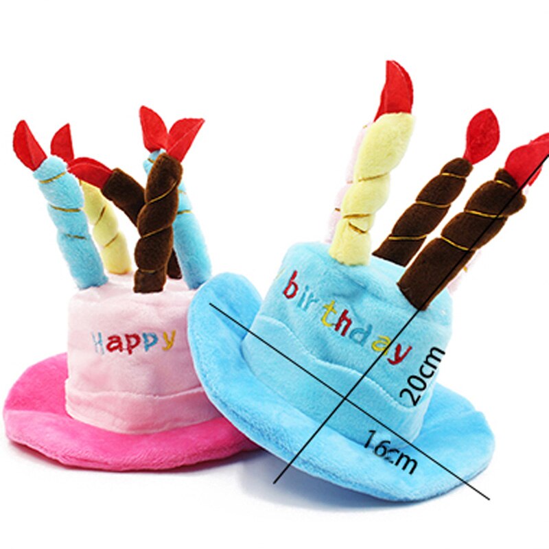 Birthday Cake Hat with Candles